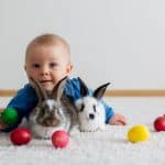 Little toddler child, baby boy, playing with bunnies and easter eggs at home