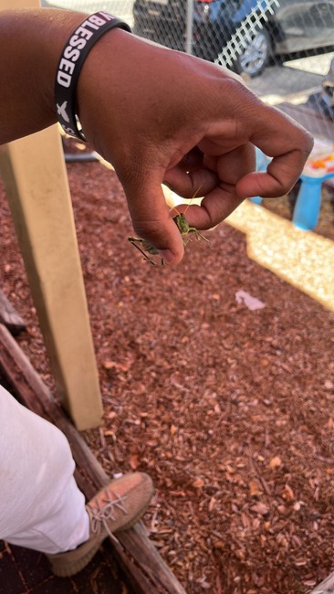 461753765_1077639650816592_3365185800012840238_n