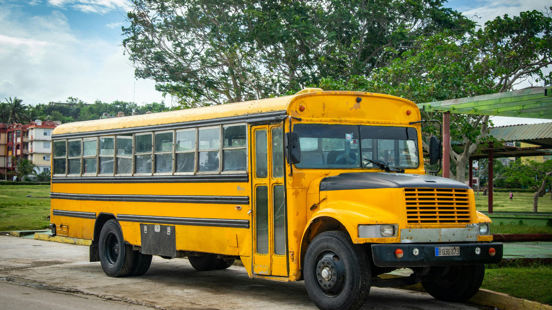 Bus